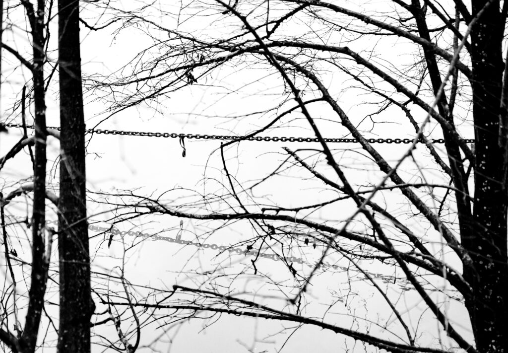 PHOTOS NAMUR - ILE MEUSE - CHAINE