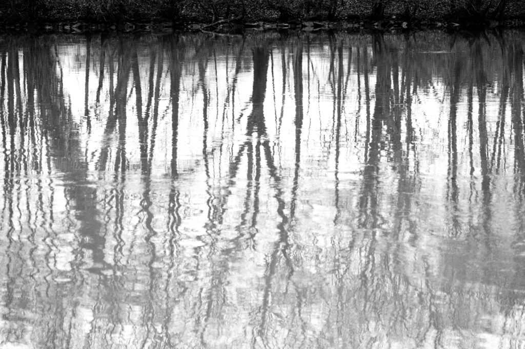PHOTOS NAMUR - ILE MEUSE - REFLET