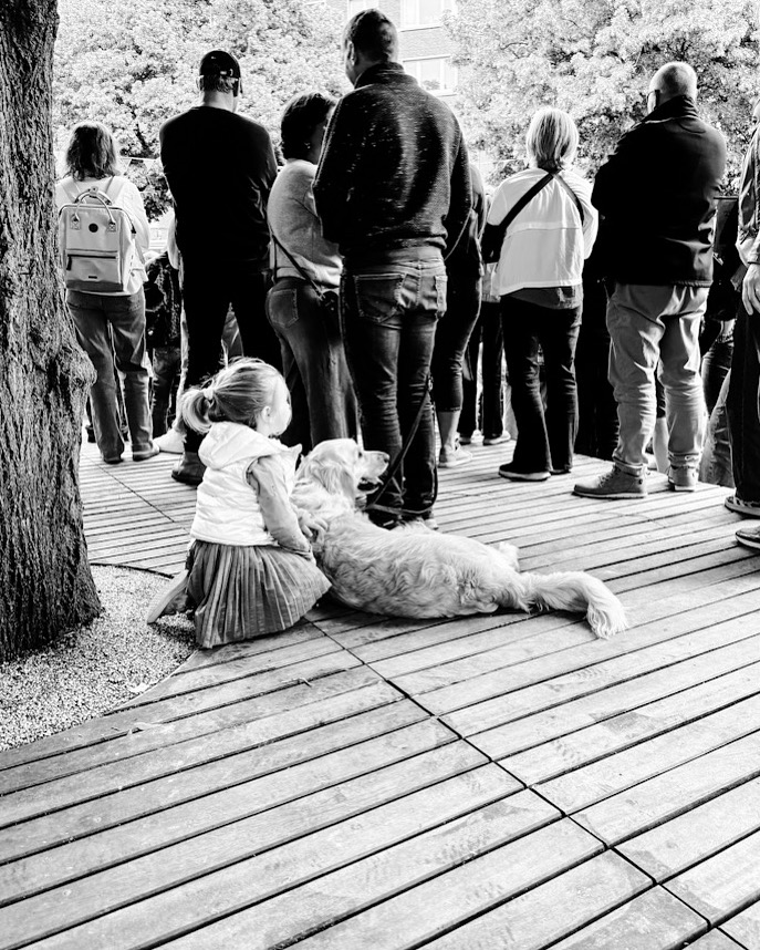 festival namur en mai - fille et chien