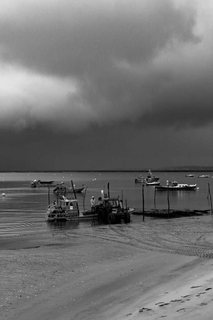 Photo ostréiculture bassin arcachon canon herbe bateau navette pinasse barge