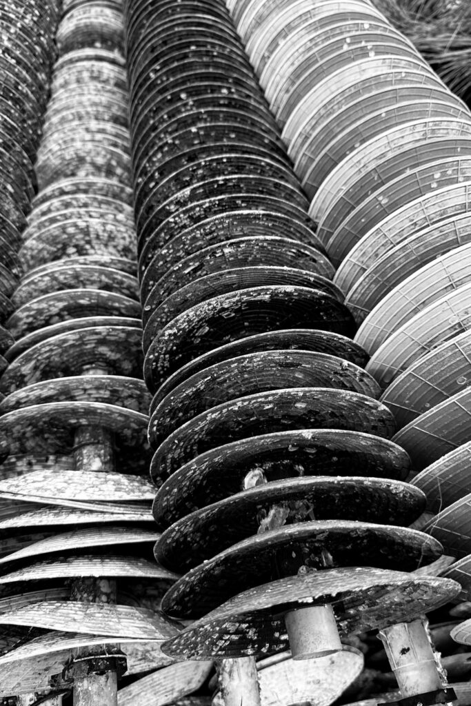 photo coupelles ostréiculture