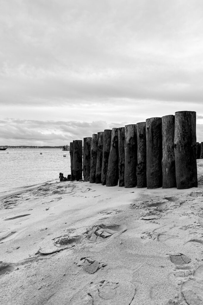 Photo barrière en bois