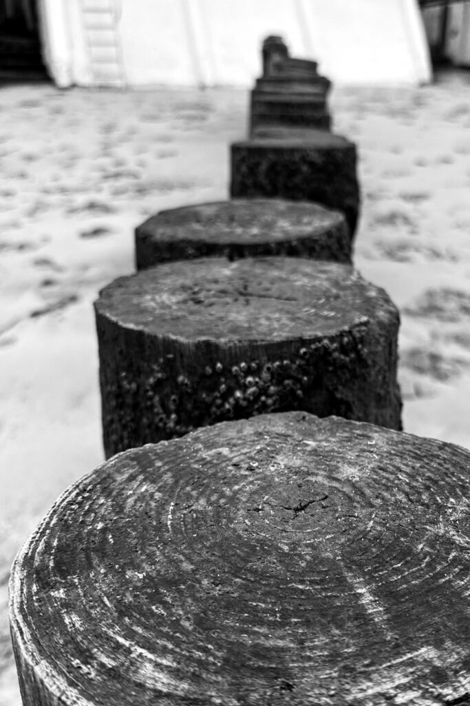 Photo barrière en bois