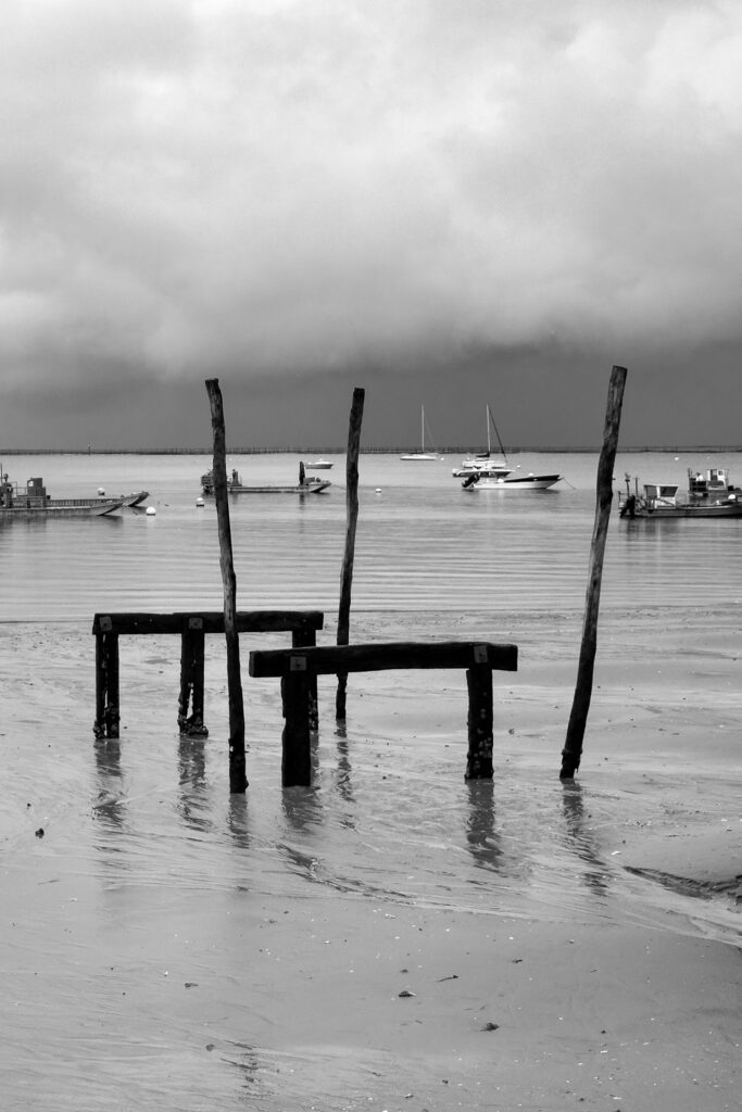 Photo ostréiculture bassin arcachon canon herbe bateau navette