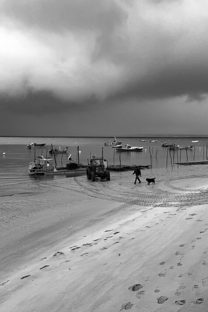 Photo ostréiculture bassin arcachon canon herbe bateau navette pinasse barge