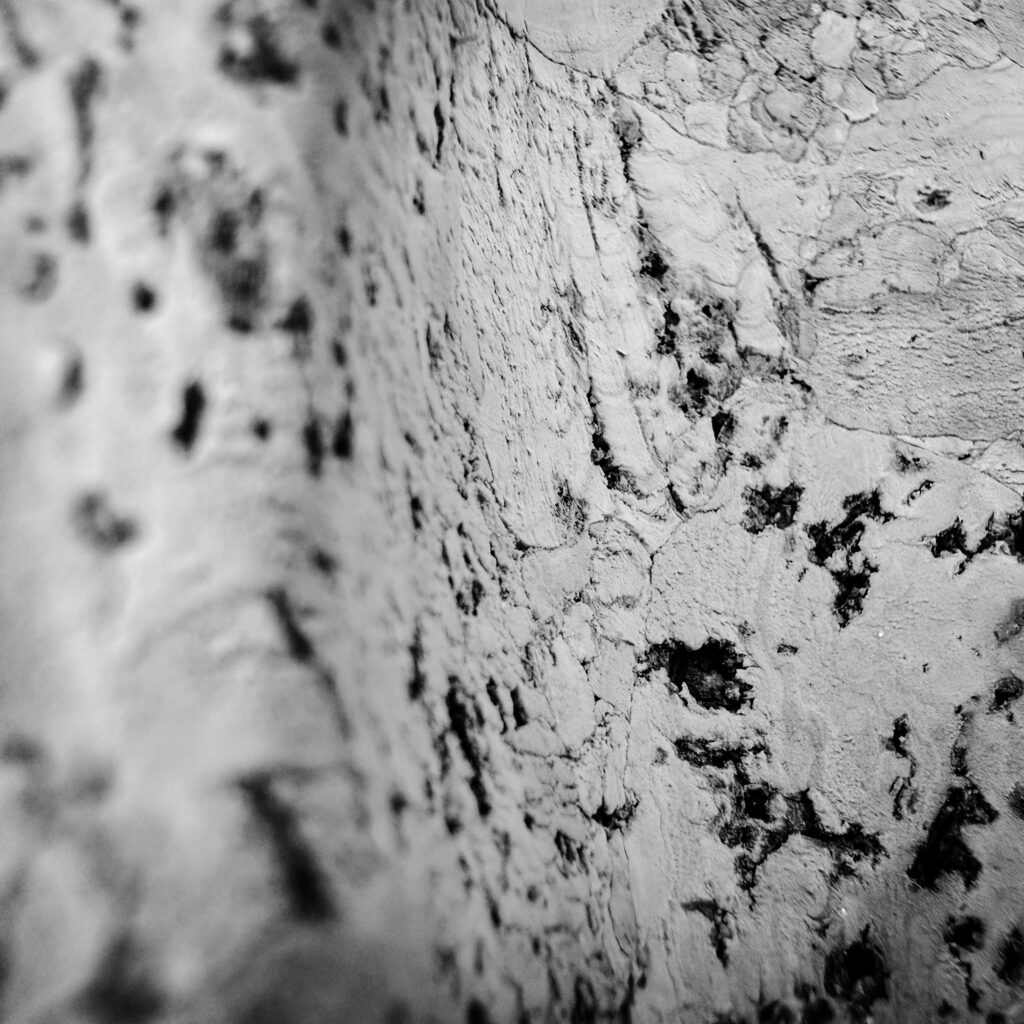 ²DEGRÉ  Exposition photo à Namur Valérie Decock - photo liège structuré 3 - gros plan