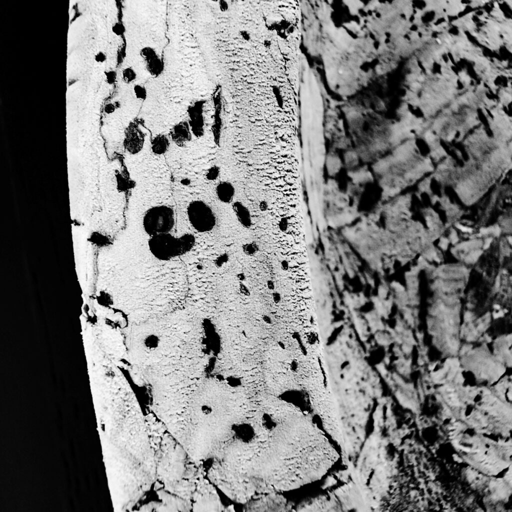 ²DEGRÉ  Exposition photo à Namur Valérie Decock - photo liège structuré 1
