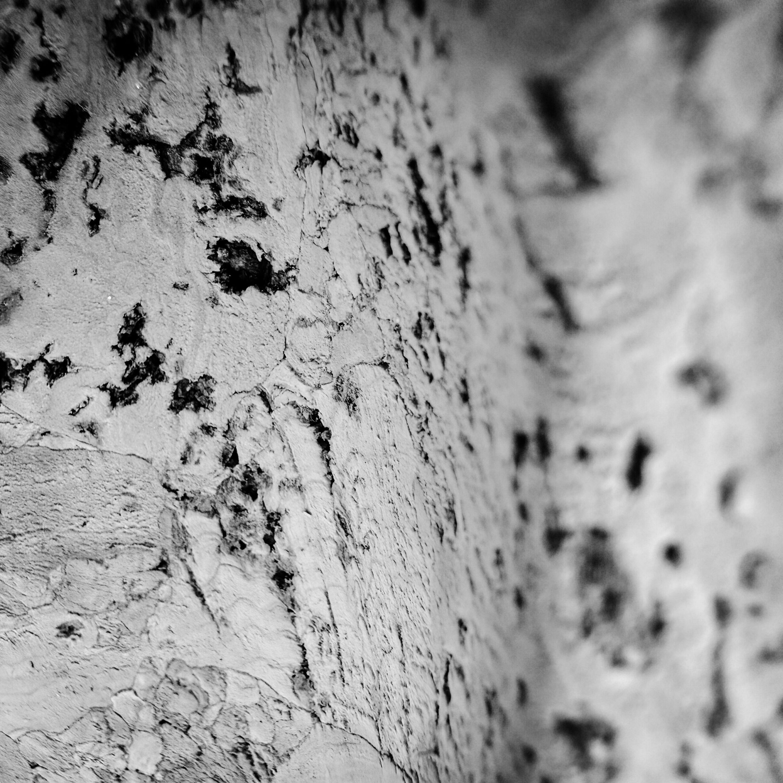 Détail du Cork Bowl de Vitra - photos noir et blanc de Valérie Decock