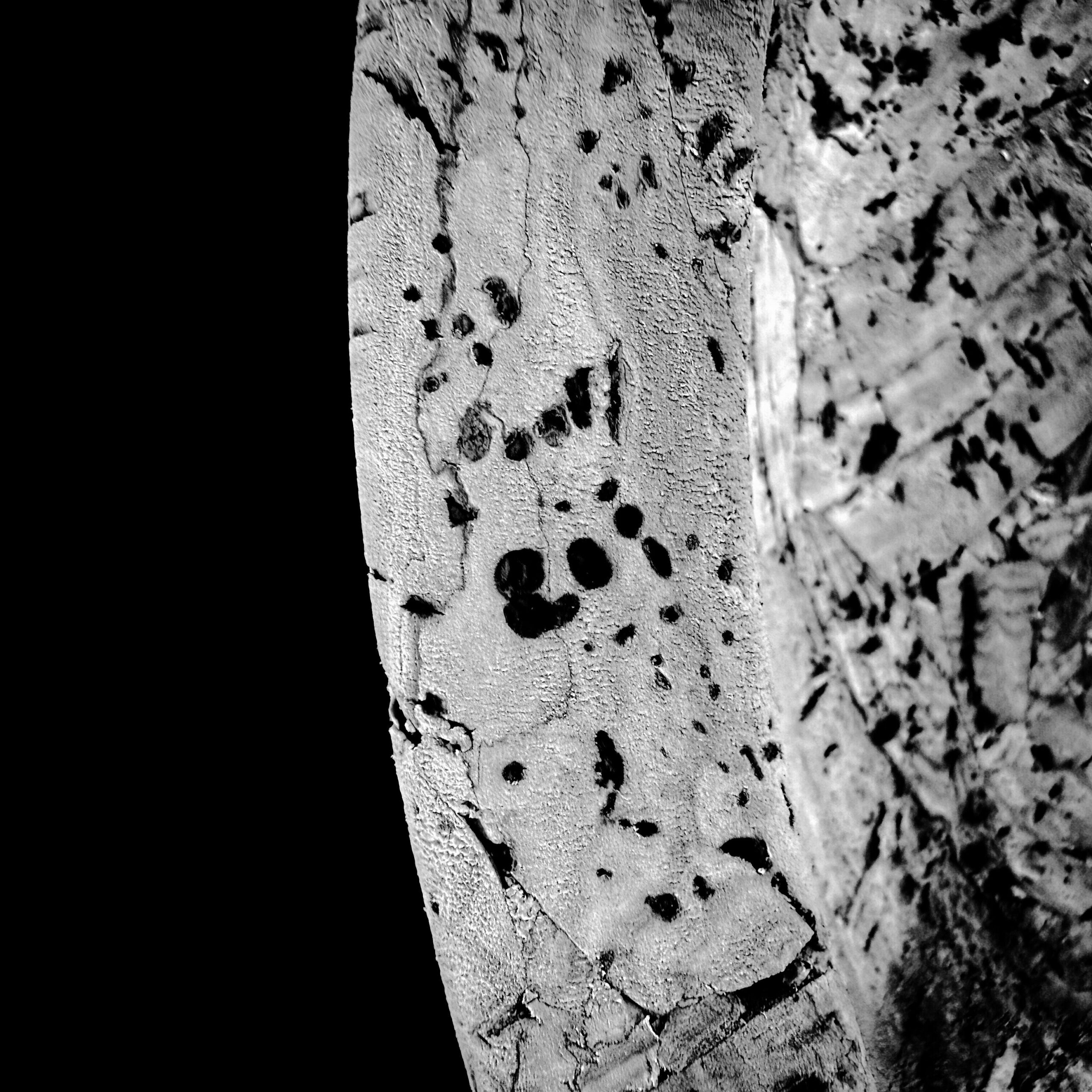 Détail du Cork Bowl de Vitra - photos noir et blanc de Valérie Decock