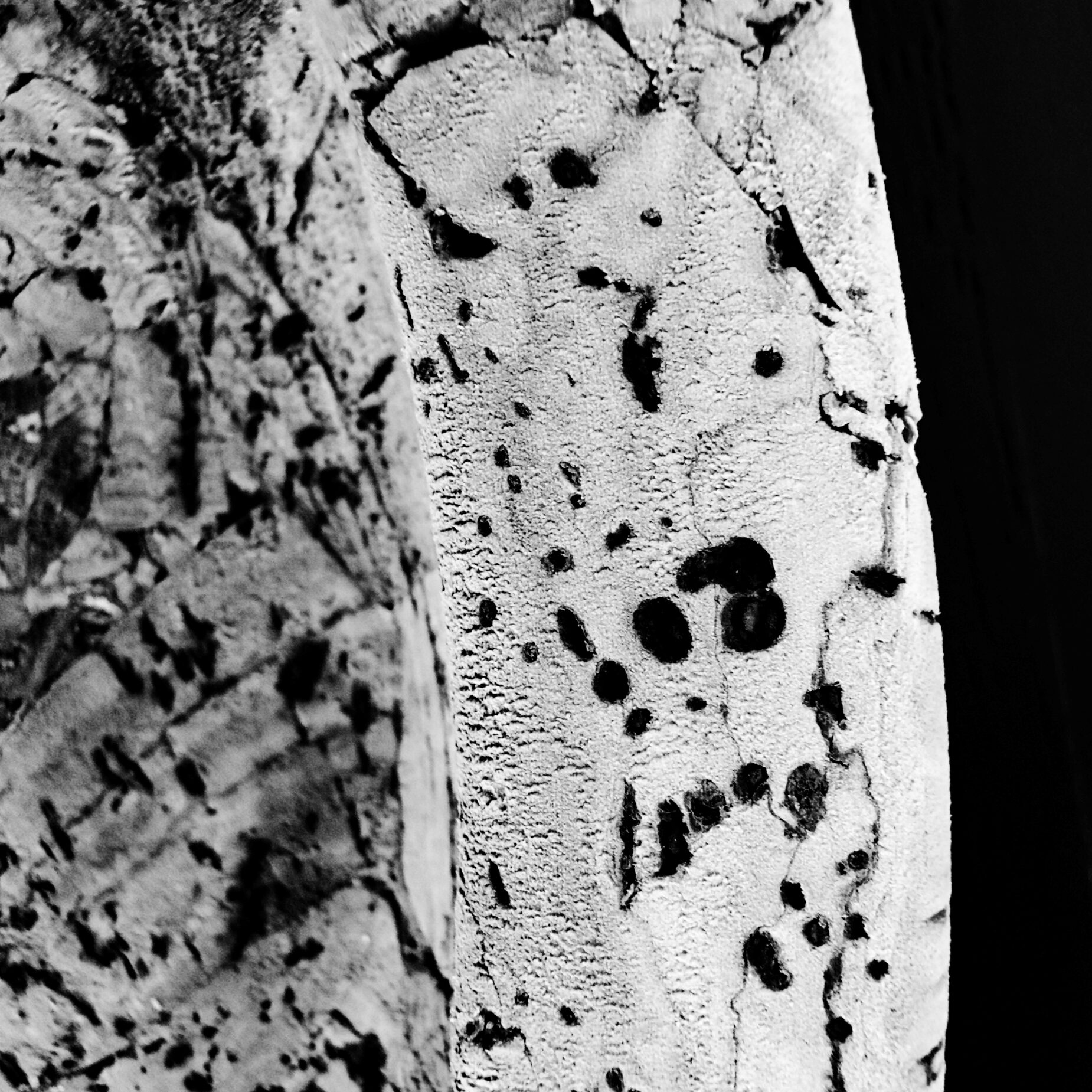 Détail du Cork Bowl de Vitra - photos noir et blanc de Valérie Decock